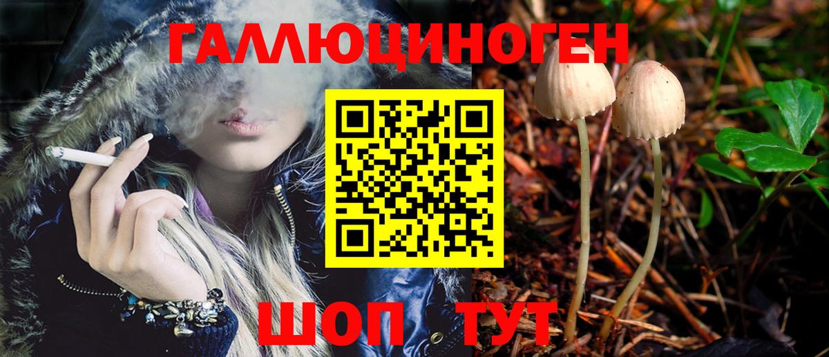Галлюциногенные грибы MAGIC MUSHROOMS Родники
